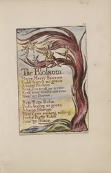 La Flor, lámina 20 de Canciones de Inocencia y de Experiencia [Bentley 11] c.1789-94